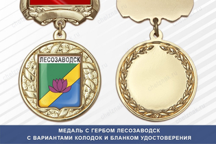 Медаль с гербом города Лесозаводск Приморского края с бланком удостоверения