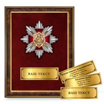 Панно наградное с орденским знаком «Участник СВО»