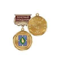 Медаль «95 лет Бижбулякскому району Республики Башкортостан. Почётный гражданин» с бланком удостоверения