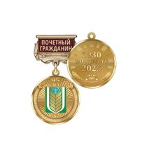 Медаль «95 лет Благоварскому району Республики Башкортостан. Почётный гражданин» с бланком удостоверения