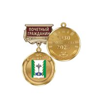 Медаль «95 лет Гафурийскому району Республики Башкортостан. Почётный гражданин» с бланком удостоверения
