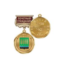 Медаль «95 лет Дюртюлинскому району Республики Башкортостан. Почётный гражданин» с бланком удостоверения