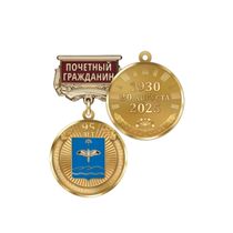 Медаль «95 лет Мечетлинскому району Республики Башкортостан. Почётный гражданин» с бланком удостоверения