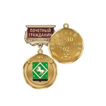 Медаль «95 лет Янаульскому району Республики Башкортостан. Почётный гражданин» с бланком удостоверения