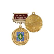 Медаль «95 лет Бижбулякскому району Республики Башкортостан. За вклад в развитие» с бланком удостоверения