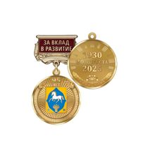 Медаль «95 лет Илишевскому району Республики Башкортостан. За вклад в развитие» с бланком удостоверения