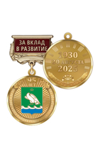 Медаль «95 лет Мелеузовскому району Республики Башкортостан. За вклад в развитие» с бланком удостоверения