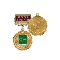 Медаль «95 лет Стерлитамакскому району Республики Башкортостан. За вклад в развитие» с бланком удостоверения