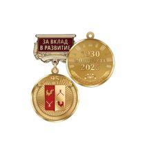 Медаль «95 лет Татышлинскому району Республики Башкортостан. За вклад в развитие» с бланком удостоверения