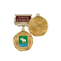 Медаль «95 лет Фёдоровскому району Республики Башкортостан. За вклад в развитие» с бланком удостоверения