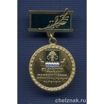 Знак «За заслуги перед  Мамадышским районом»