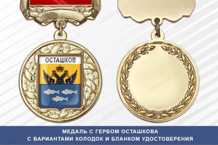 Медаль с гербом города Осташкова Тверской области с бланком удостоверения