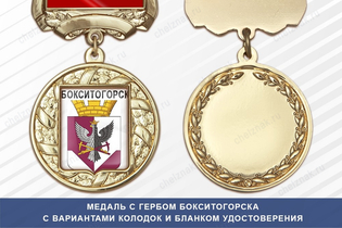 Медаль с гербом города Бокситогорска Ленинградской области с бланком удостоверения