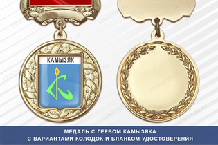 Медаль с гербом города Камызяка Астраханской области с бланком удостоверения