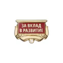 Квадроколодка, №3 для медали "За вклад в развитие"