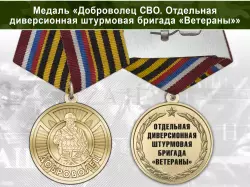 Медаль «Доброволец СВО из отдельной диверсионной штурмовой бригады "Ветераны"» с бланком удостоверения