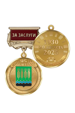 Медаль «95 лет Дюртюлинскому району Республики Башкортостан. За заслуги» с бланком удостоверения