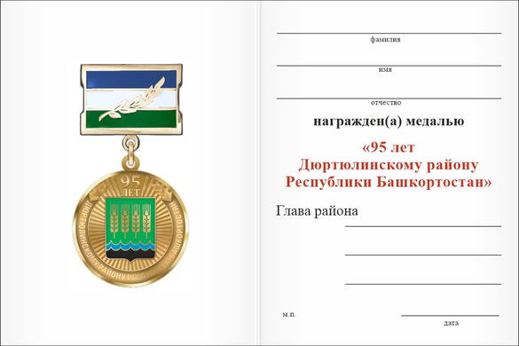 Обратная сторона награды Медаль «95 лет Дюртюлинскому району Республики Башкортостан. За заслуги» с бланком удостоверения