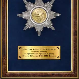 Обратная сторона награды Панно с орденом «115 лет Береговой системе наблюдения ВМФ»