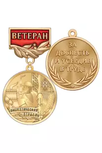 Медаль «Ветеран энергетики» с индивидуальным текстом с бланком удостоверения
