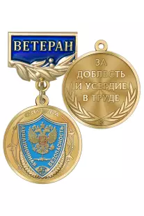 Медаль «Ветеран службы авиационной безопасности (САБ)» с бланком удостоверения