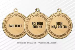 Медаль «Выпускнику ВУЗа МВД России» с бланком удостоверения, дополнительное фото 1