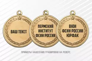 Медаль «Выпускнику ВУЗа ФСИН России» с бланком удостоверения, дополнительное фото 1