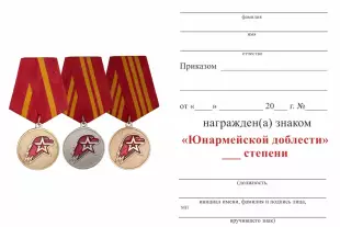 Обратная сторона награды Медаль юнармейской доблести II степени с бланком удостоверения