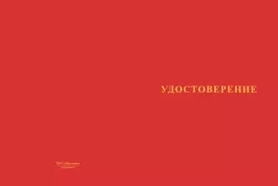 Лицевая сторона награды Медаль «Отцу (родственнику) участника СВО» с бланком удостоверения