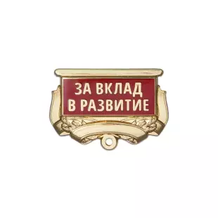 Квадроколодка, №3 для медали "За вклад в развитие"