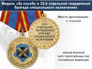Медаль «За службу в 22-й отдельной гвардейской бригаде специального назначения» с бланком удостоверения