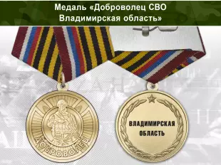 Лицевая сторона награды Медаль «Доброволец СВО из Владимирской области» с бланком удостоверения