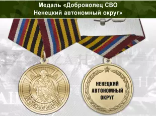 Лицевая сторона награды Медаль «Доброволец СВО из Ненецкого автономный округ» с бланком удостоверения