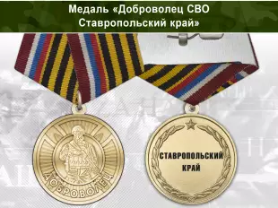 Лицевая сторона награды Медаль «Доброволец СВО из Ставропольского края» с бланком удостоверения