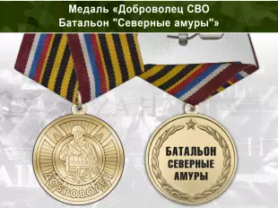 Лицевая сторона награды Медаль «Доброволец СВО из батальона "Северные амуры"» с бланком удостоверения