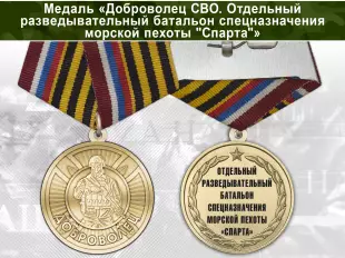 Медаль «Доброволец СВО из отдельного разведывательного батальона спецназначения морской пехоты "Спарта"» с бланком удостоверения