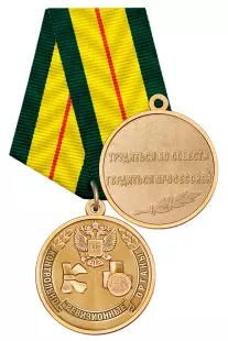 Медаль «За работу в контрольно-ревизионных органах» с бланком удостоверения