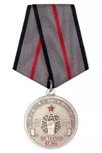 Медаль «Ветеран радиоэлектронной борьбы - РЭБ» с бланком удостоверения