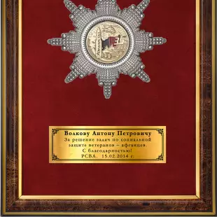 Обратная сторона награды Панно с орденом «В честь 35-летия вывода войск из Афганистана»
