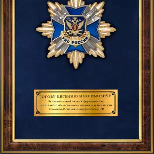 Обратная сторона награды Наградное панно с орденским знаком УИС