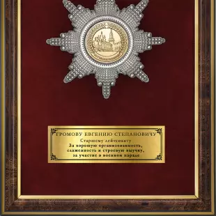 Обратная сторона награды Наградное панно «За участие в военном параде»