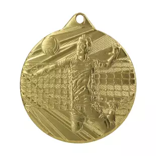 Медаль волейбол №94363, d50 мм