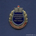 Знак «Отличник учебы ЧЮИ МВД России»