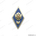 Академический знак выпускника ВВИ(У)