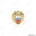Знак «15 лет ФСО России»