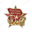Знак «Участник шествия 9 мая»