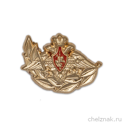 Фрачный знак МО РФ «Ветеран Вооруженных Сил  Российской Федерации»