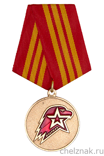 Медаль юнармейской доблести III степени с бланком удостоверения