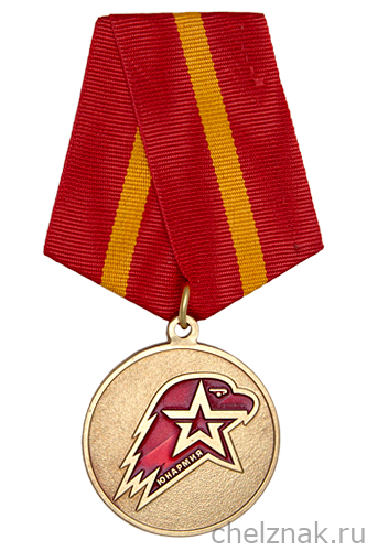 Медаль юнармейской доблести I степени с бланком удостоверения