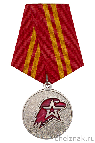 Медаль юнармейской доблести II степени с бланком удостоверения